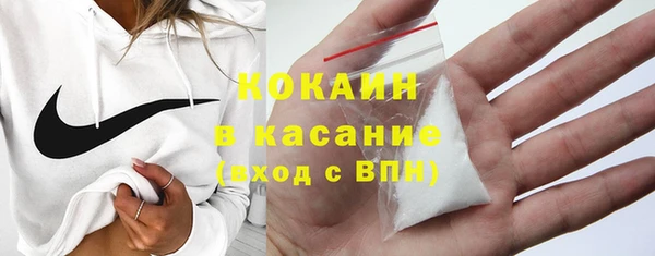 гашик Осинники