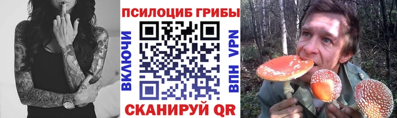 Галлюциногенные грибы Magic Shrooms  наркошоп  Раменское 